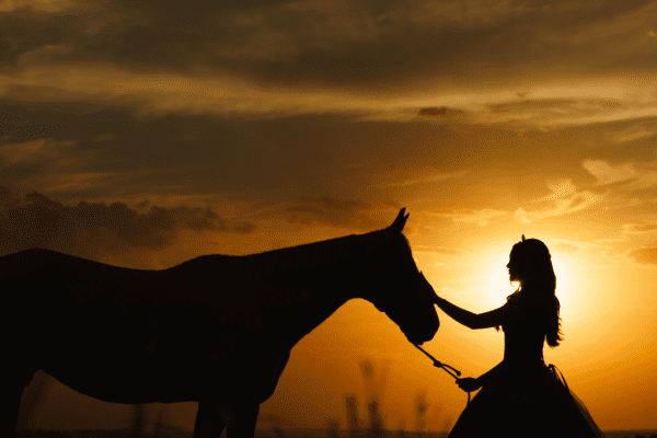 DEBUTANTE MULTIMAGEM